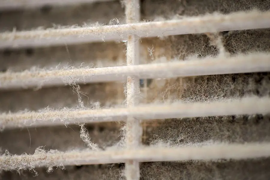 How Frequently Should Homeowners Replace Air Filters?